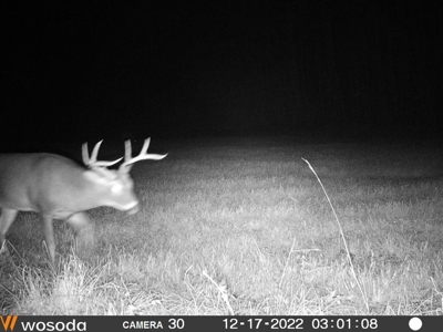 268+- Acres for Sale Claiborne County, MS - image 42