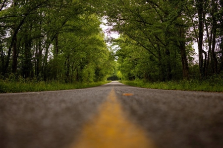 268+- Acres for Sale Claiborne County, MS - image 13
