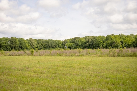268+- Acres for Sale Claiborne County, MS - image 22