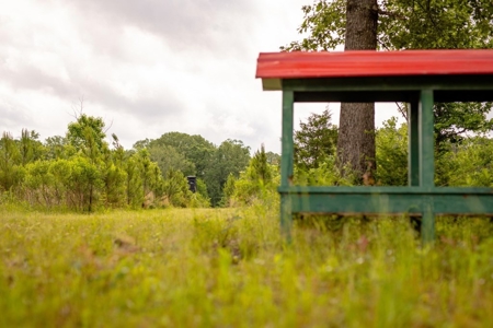 268+- Acres for Sale Claiborne County, MS - image 9