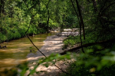 268+- Acres for Sale Claiborne County, MS - image 34