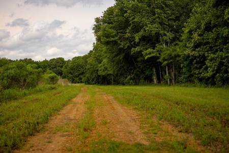 268+- Acres for Sale Claiborne County, MS - image 40