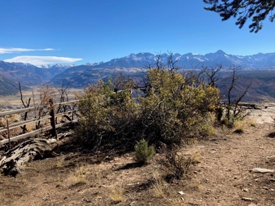 Lot For Sale, Easy Access Town, Log Hill, Ridgway, Colorado - image 17