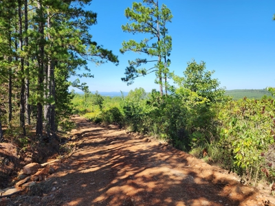 Off-Grid Mountain Homestead Property – Great Views - image 6