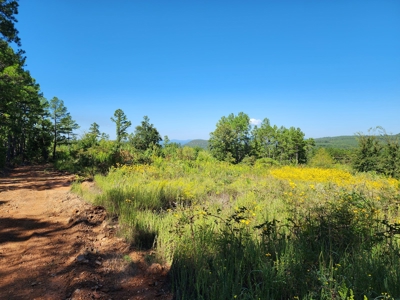 Off-Grid Mountain Homestead Property – Great Views - image 8