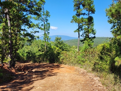 Off-Grid Mountain Homestead Property – Great Views - image 4