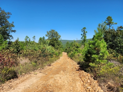 Off-Grid Mountain Homestead Property – Great Views - image 2