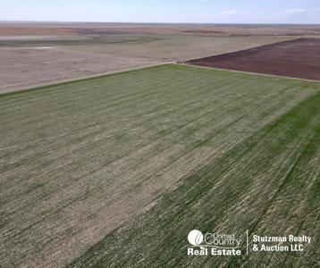 160 Acre Farm Property For Sale in Prowers County, Colorado - image 4