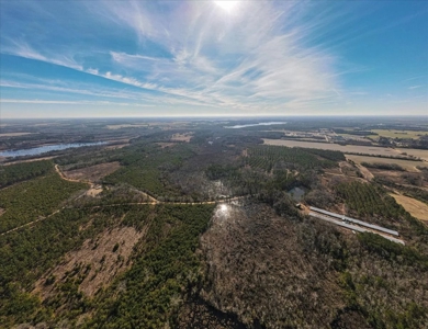 Creek Front Wooded Acreage in Marlboro County SC - image 1