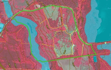Creek Front Wooded Acreage in Marlboro County SC - image 3