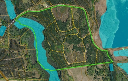 Creek Front Wooded Acreage in Marlboro County SC - image 4