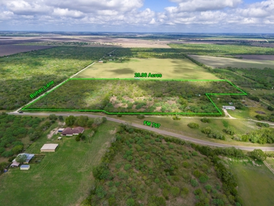 20.96 Acres of Solid Brush in Bee County, TX - image 9