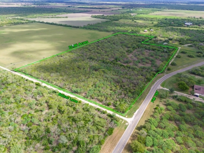 20.96 Acres of Solid Brush in Bee County, TX - image 6