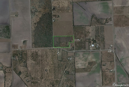 20.96 Acres of Solid Brush in Bee County, TX - image 3