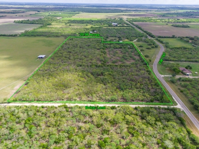 20.96 Acres of Solid Brush in Bee County, TX - image 1
