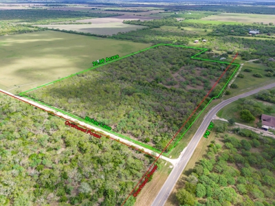 20.96 Acres of Solid Brush in Bee County, TX - image 13
