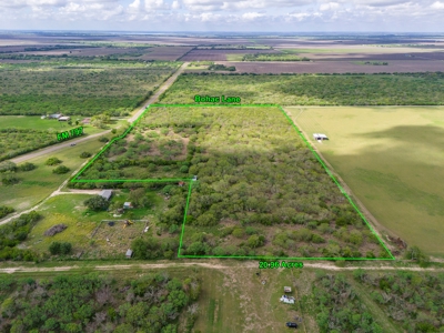 20.96 Acres of Solid Brush in Bee County, TX - image 8