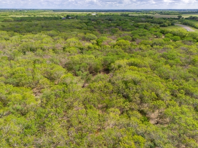 20.96 Acres of Solid Brush in Bee County, TX - image 12