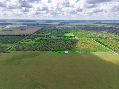 20.96 Acres of Solid Brush in Bee County, TX - image 7