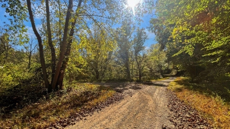 Scioto County Ohio Land for Sale - image 19