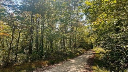 Scioto County Ohio Land for Sale - image 5