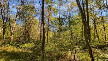 Scioto County Ohio Land for Sale - image 14