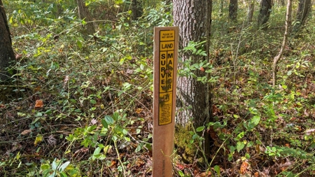 Scioto County Ohio Land for Sale - image 46