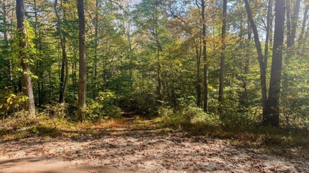 Scioto County Ohio Land for Sale - image 3