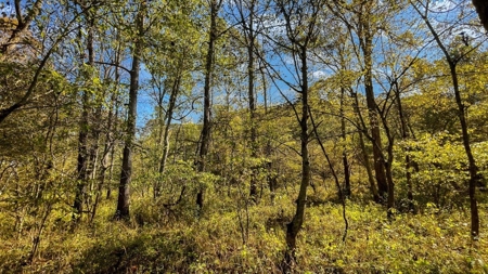 Scioto County Ohio Land for Sale - image 23