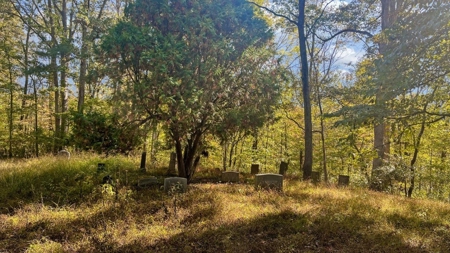 Scioto County Ohio Land for Sale - image 10