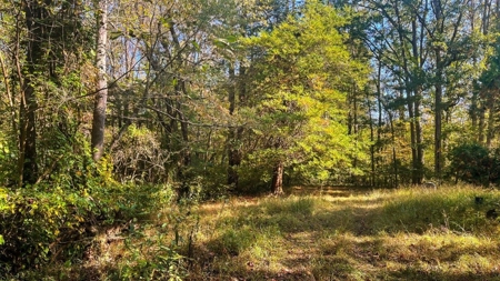 Scioto County Ohio Land for Sale - image 7