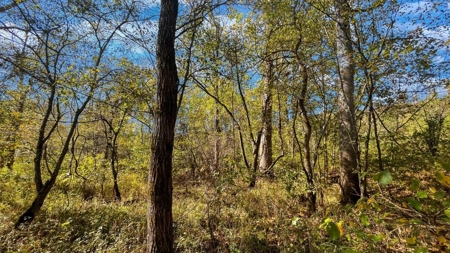 Scioto County Ohio Land for Sale - image 24
