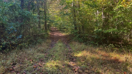 Scioto County Ohio Land for Sale - image 12