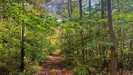 Scioto County Ohio Land for Sale - image 6