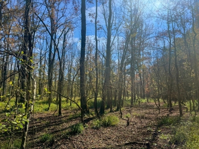 Scioto County Ohio Land for Sale - image 40