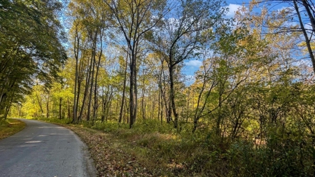 Scioto County Ohio Land for Sale - image 36