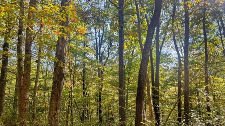 Scioto County Ohio Land for Sale - image 13