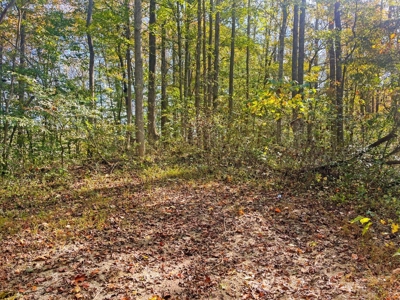Scioto County Ohio Land for Sale - image 37