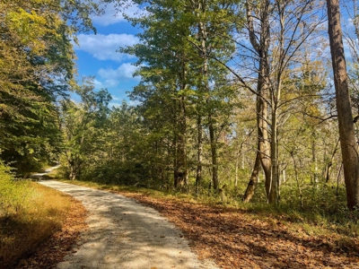 Scioto County Ohio Land for Sale - image 39