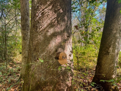 Scioto County Ohio Land for Sale - image 44
