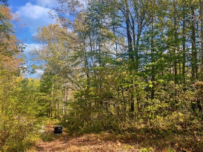 Scioto County Ohio Land for Sale - image 38