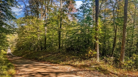 Scioto County Ohio Land for Sale - image 4