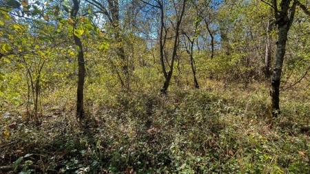 Scioto County Ohio Land for Sale - image 25