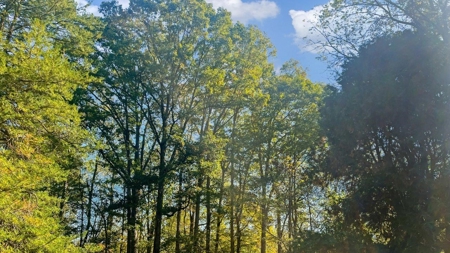 Scioto County Ohio Land for Sale - image 9