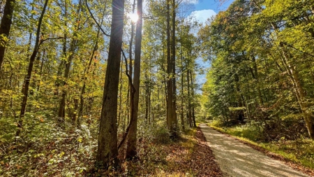Scioto County Ohio Land for Sale - image 1