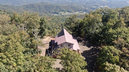 ** PENDING ** Mountain Home for Sale in Meadows of Dan VA! - image 27