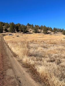 4.72 acres in Modoc Recreational Estates. Beautiful Land! - image 8