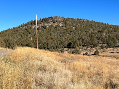4.72 acres in Modoc Recreational Estates. Beautiful Land! - image 4