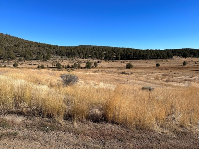 4.72 acres in Modoc Recreational Estates. Beautiful Land! - image 2