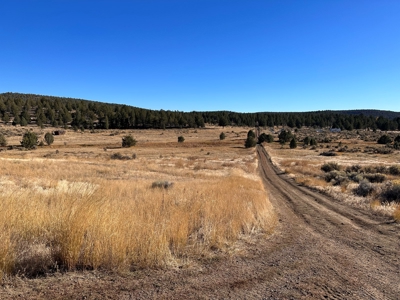 4.72 acres in Modoc Recreational Estates. Beautiful Land! - image 3